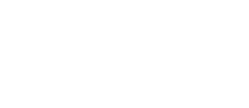 shoezone on line