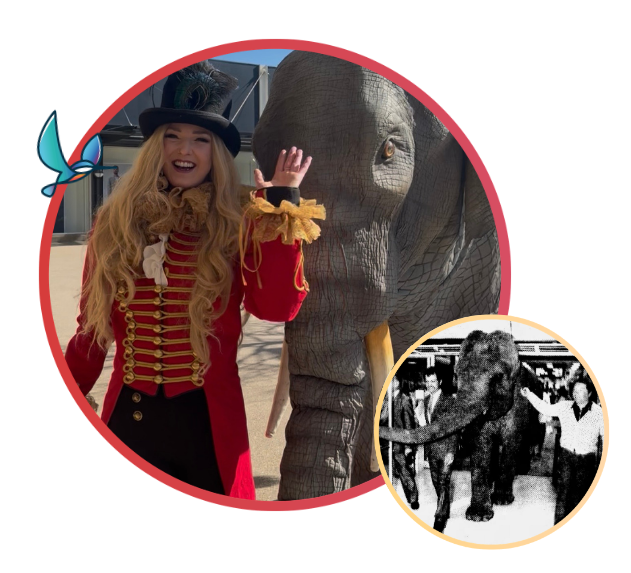 Life like Jumbo the elephant with female circus ring leader next to 1986 visit from Maureen the Elephant (real)